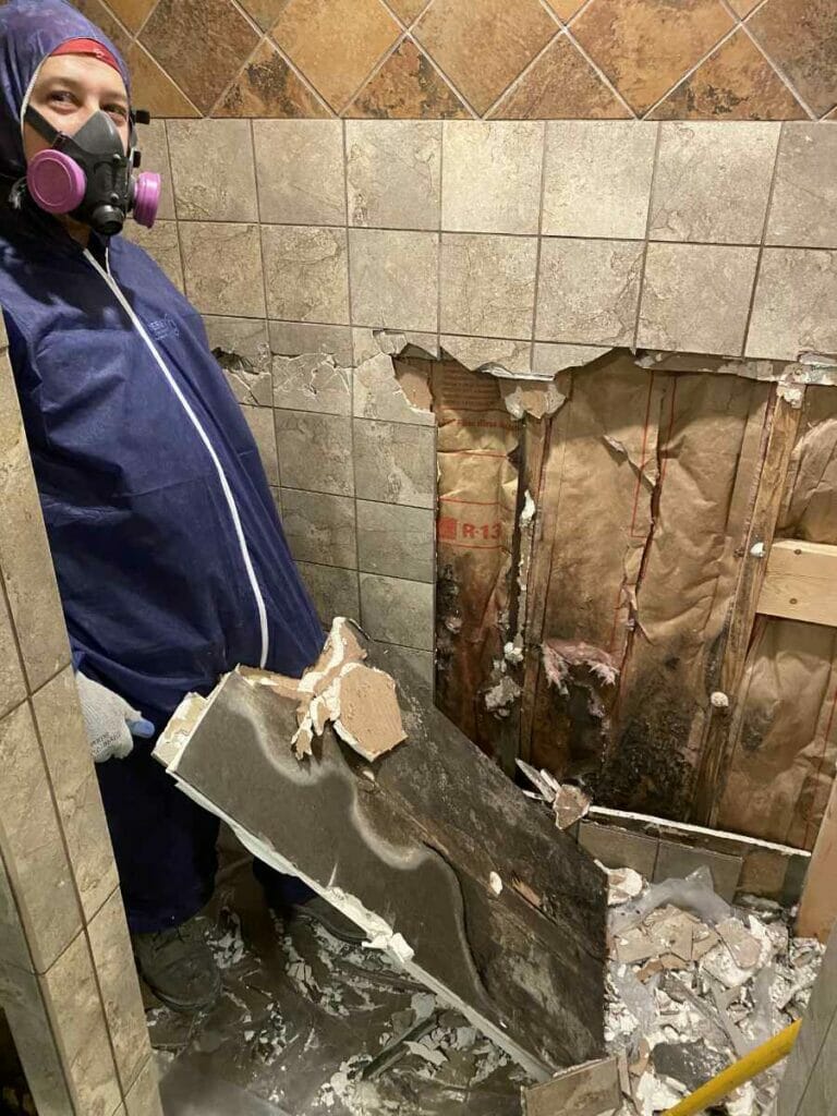 Asbestos Removal Contractor