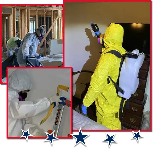environmental services