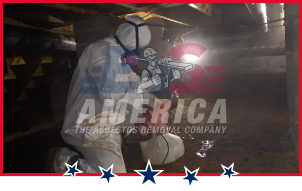mold remediation expetations
