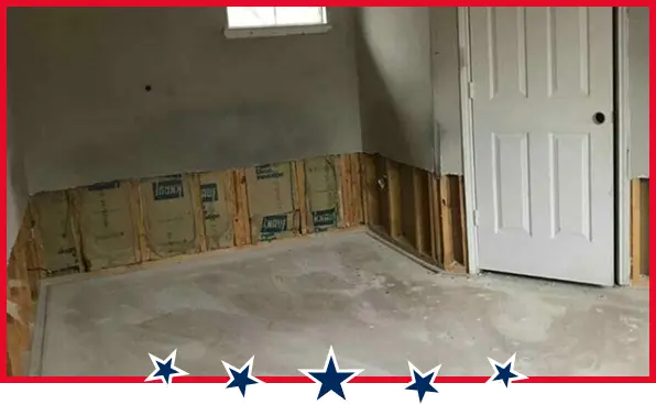 mold remediation technologies
