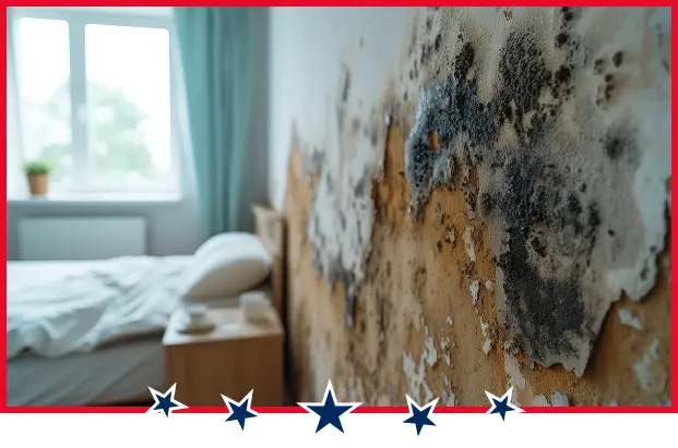 mold spreads