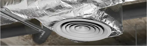 removing mold from air ducts