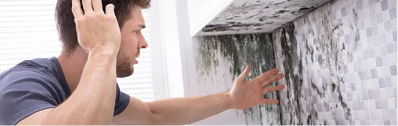 untreated mold damage