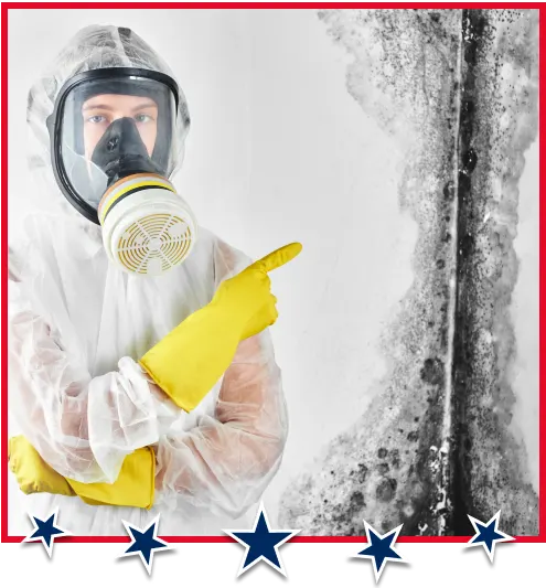Before and after mold services comparison