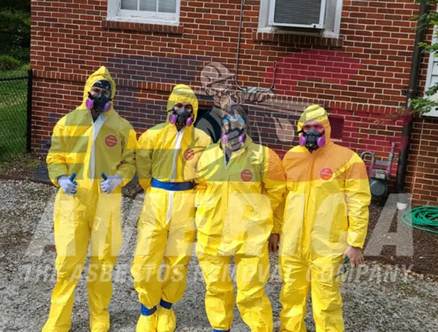 professional residential asbestos removal services