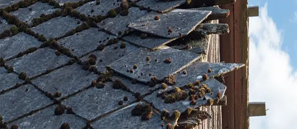 Safe asbestos roof removal