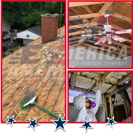 Professional asbestos roof removal
