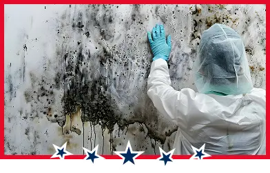 black mold inspection