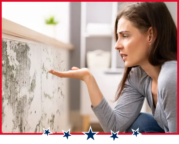 mold inspection needs atlanta ga