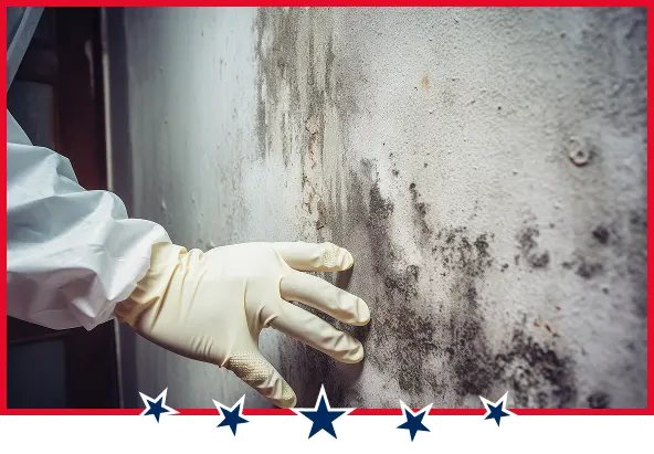mold inspection services atlanta