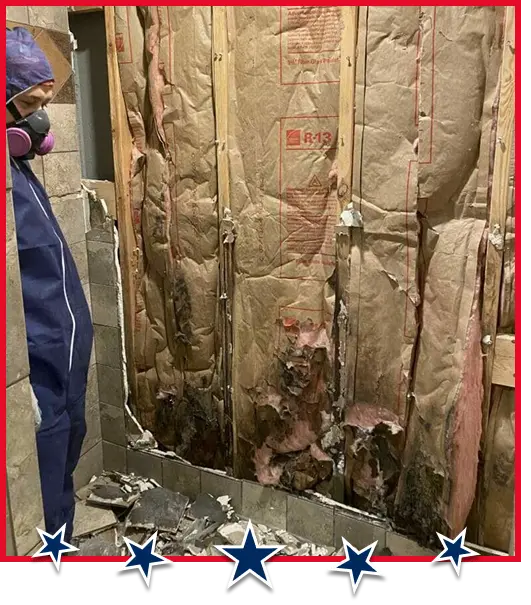 mold inspection services