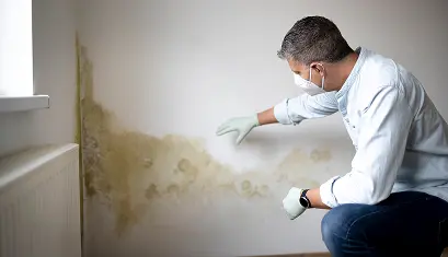 mold inspection visual assessment