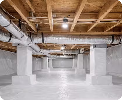 Crawl Space Assessment