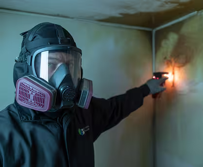 Moisture and Mold Evaluation